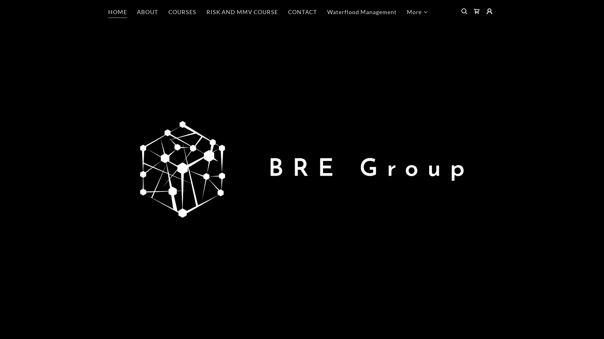 BRE-Group Website